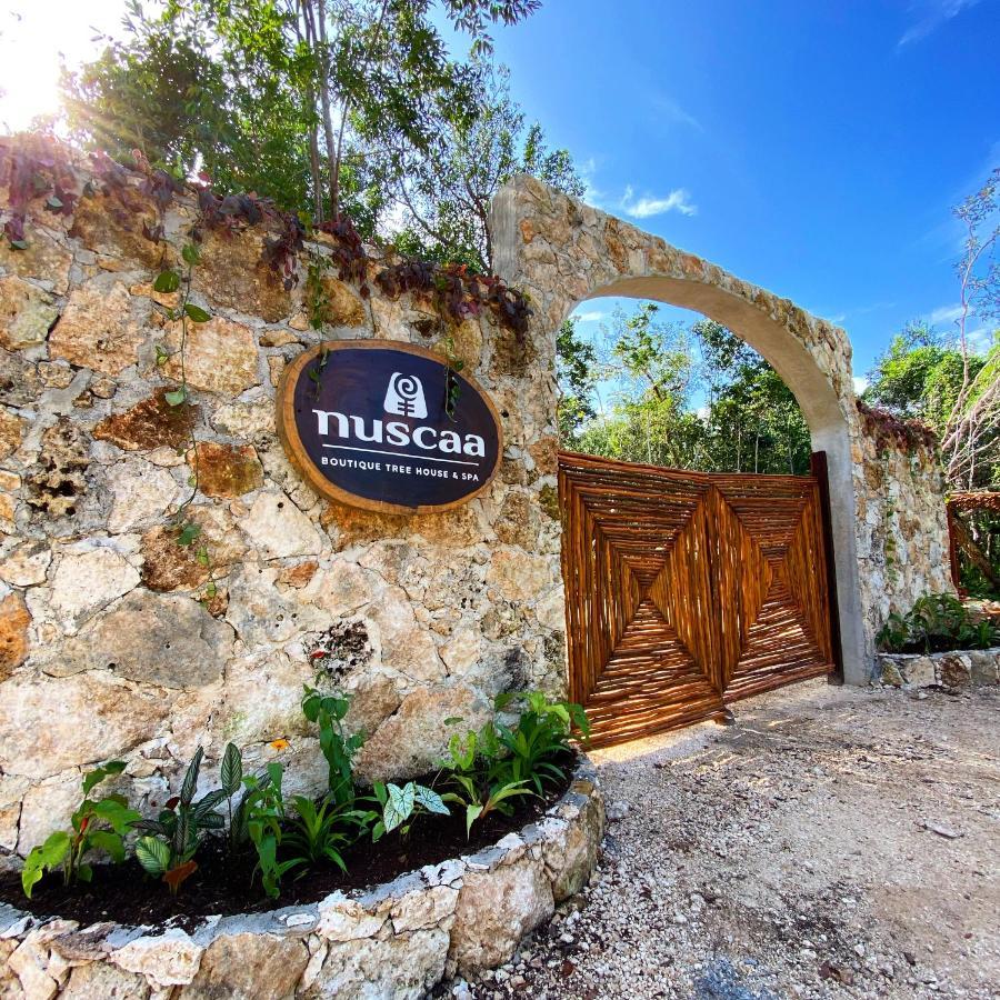 Отель Nuscaa Boutique Tree House & Spa Пуэрто-Морелос Экстерьер фото