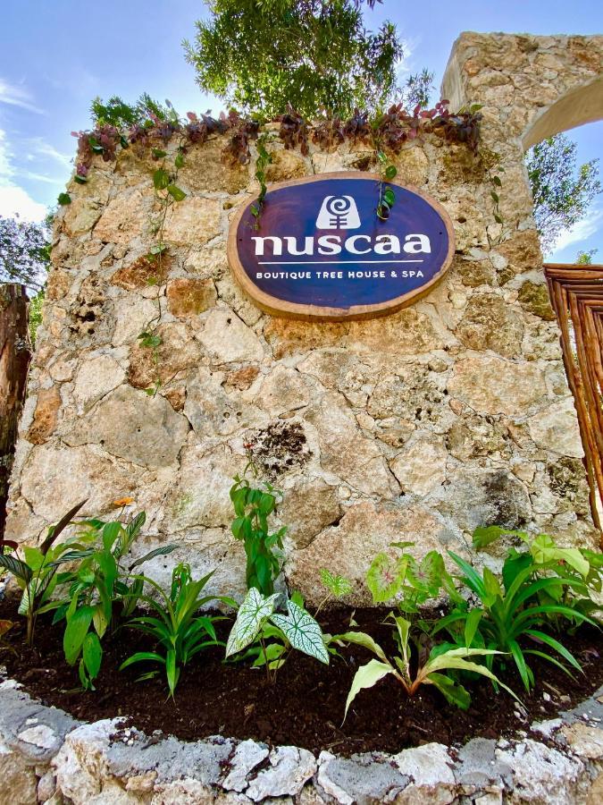 Отель Nuscaa Boutique Tree House & Spa Пуэрто-Морелос Экстерьер фото