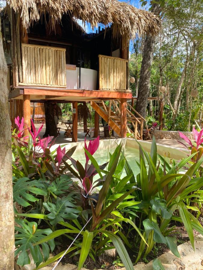 Отель Nuscaa Boutique Tree House & Spa Пуэрто-Морелос Экстерьер фото