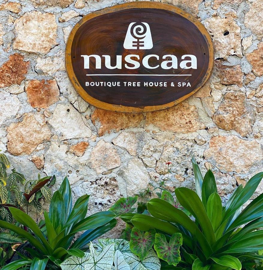 Отель Nuscaa Boutique Tree House & Spa Пуэрто-Морелос Экстерьер фото